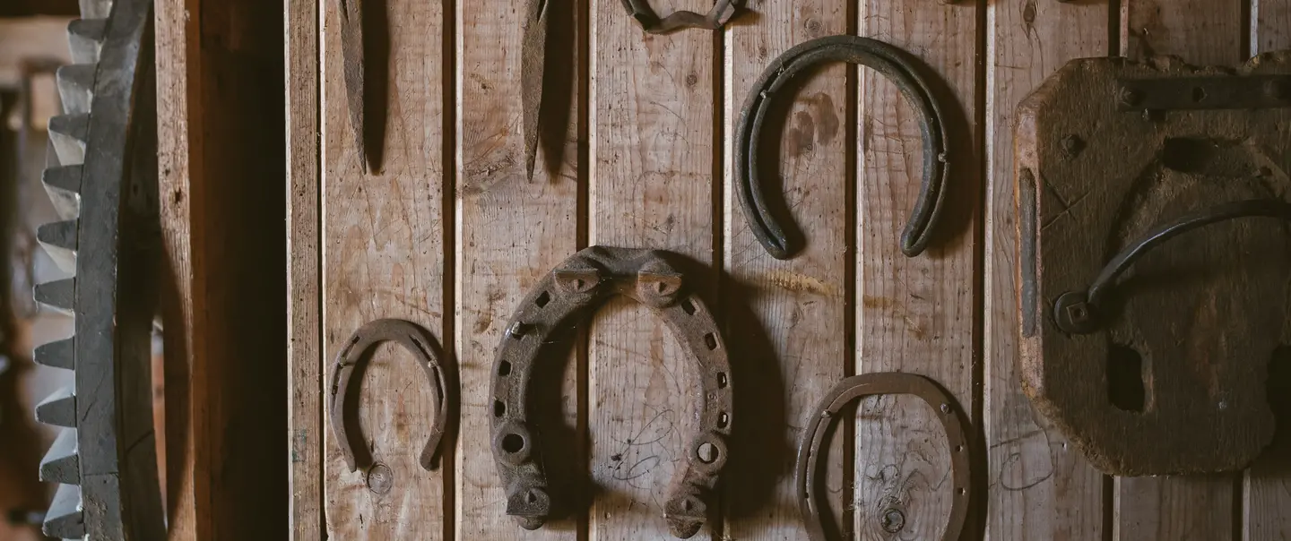Hanging Horseshoes
